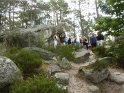 2014-06-05 11-00-06 Foret de Fontainebleau FGn